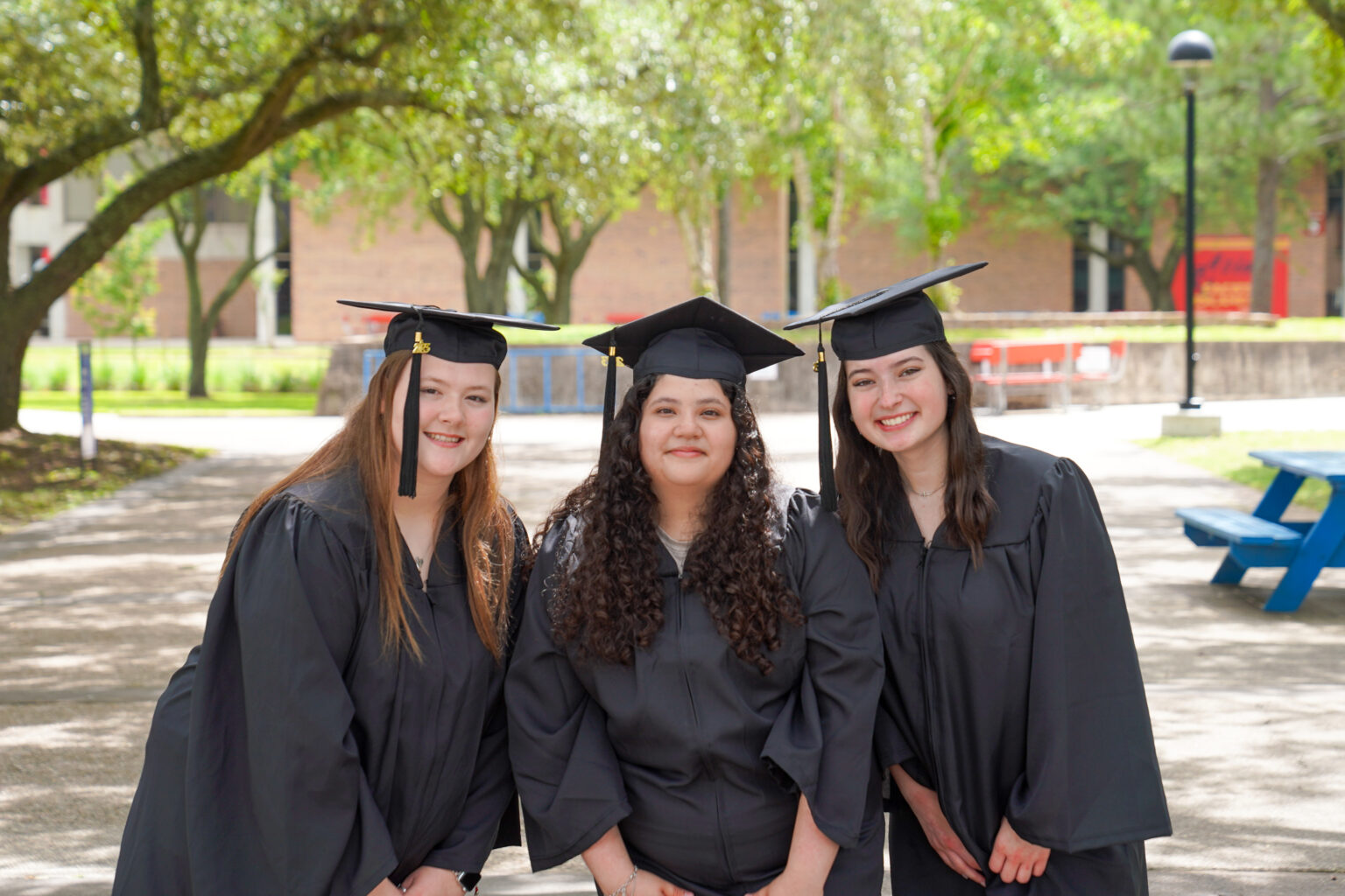 College of the Mainland The College of the Mainland Foundation